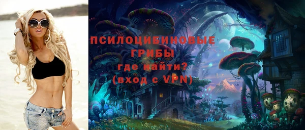 прущая мука Костерёво
