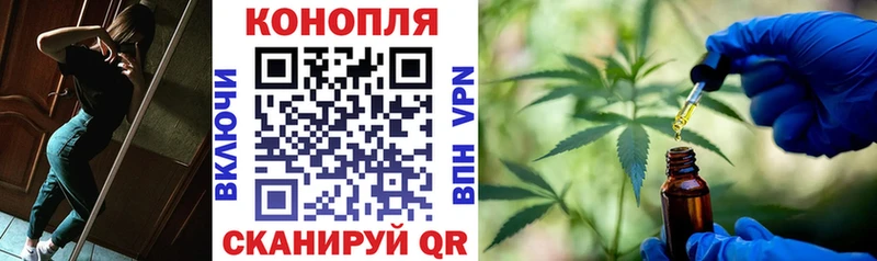 Каннабис сатива  Купить  Майский 